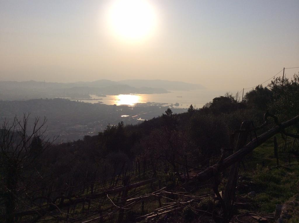 Affittacamere Belvedere *
